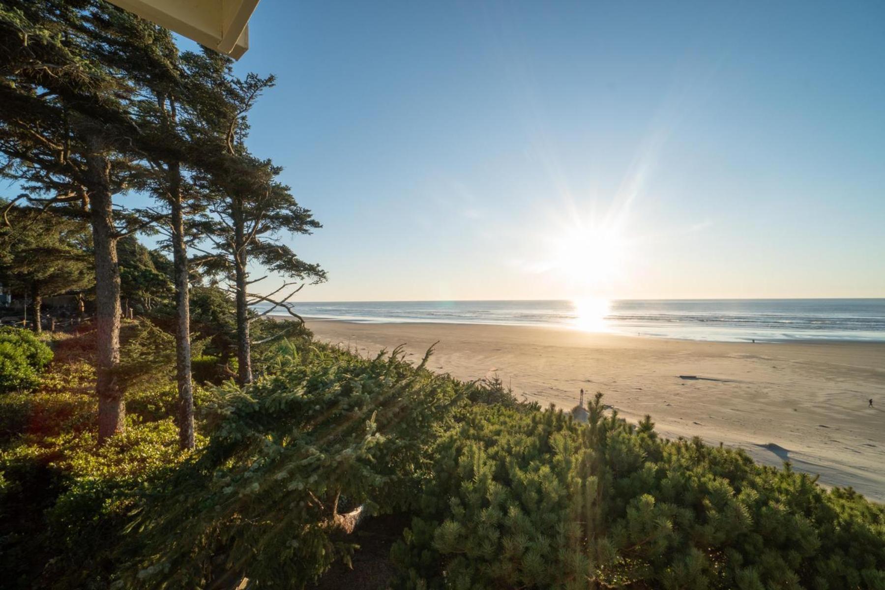 Gene's Coastal Escape Holiday home Newport