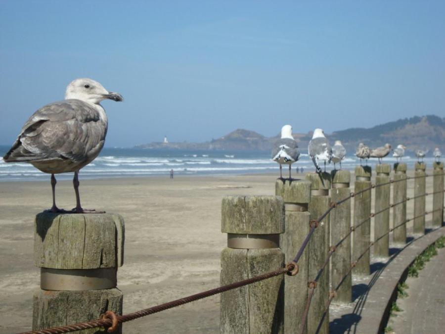 Holiday home Nye Beach, Close To Everything, Ocean View! *