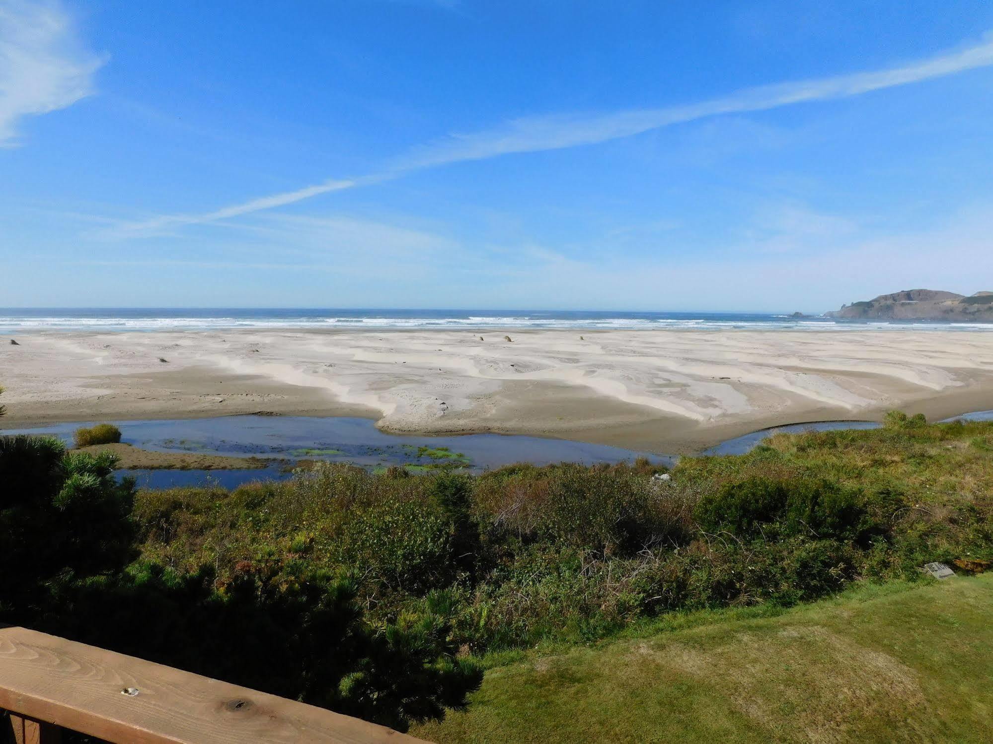 Little Creek Cove Newport